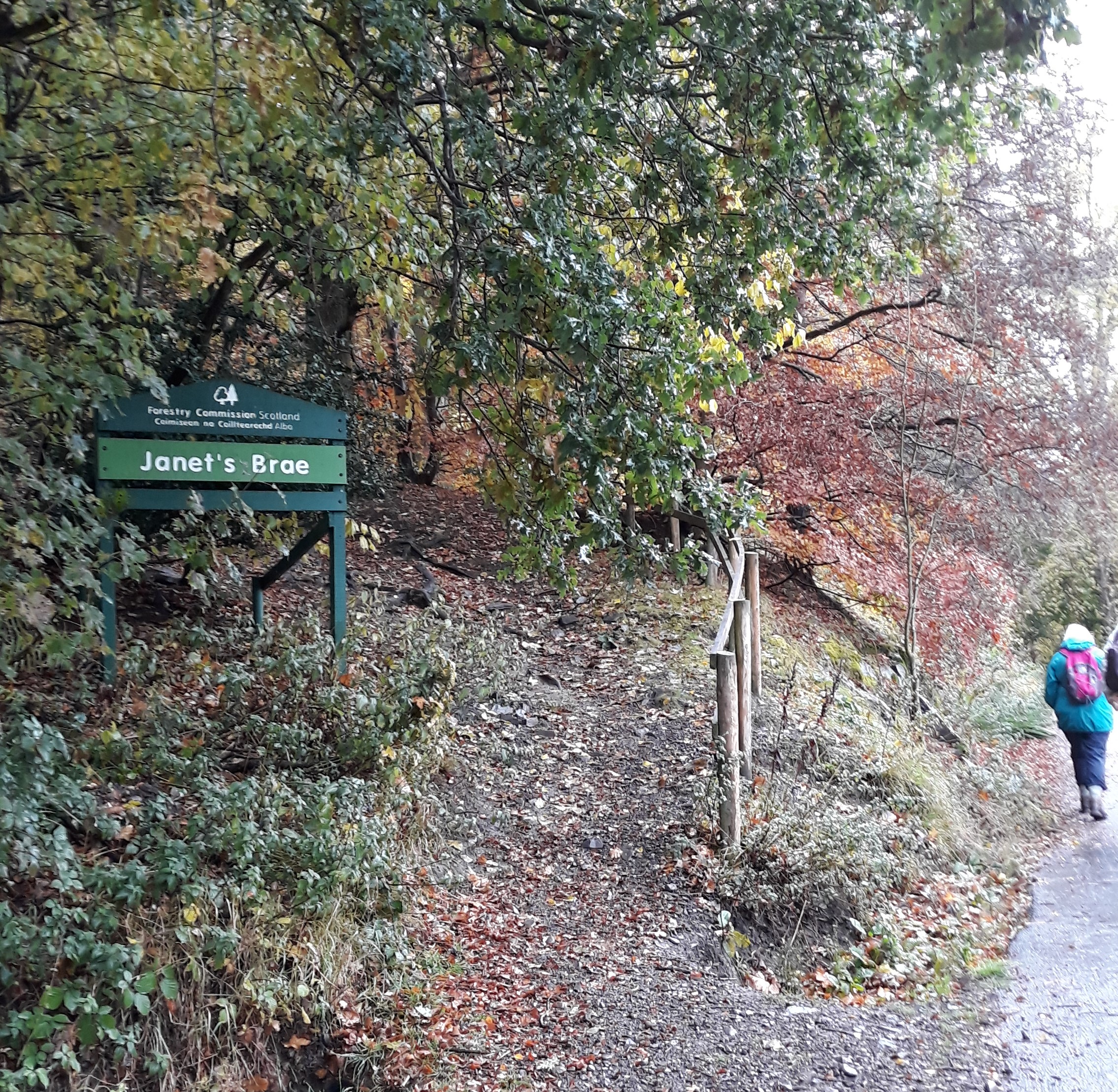 Peebles Strollers